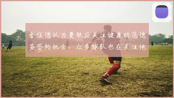 舍伍德认为曼联应关注健康的范德芬签约机会，众多球队也在关注他