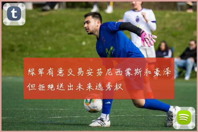 绿军有意交易安芬尼西蒙斯和豪泽但拒绝送出未来选秀权